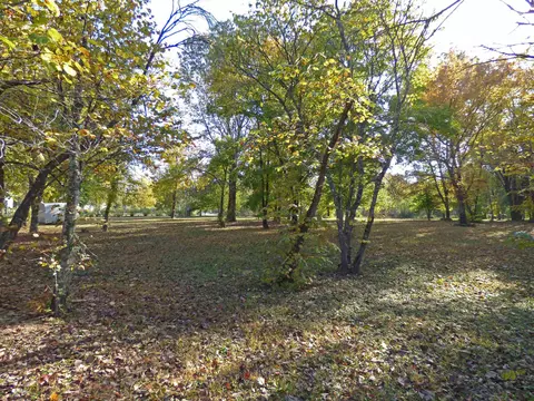 tbd Saddler Falls Rd, Mammoth Spring, AR 72554 photo 10