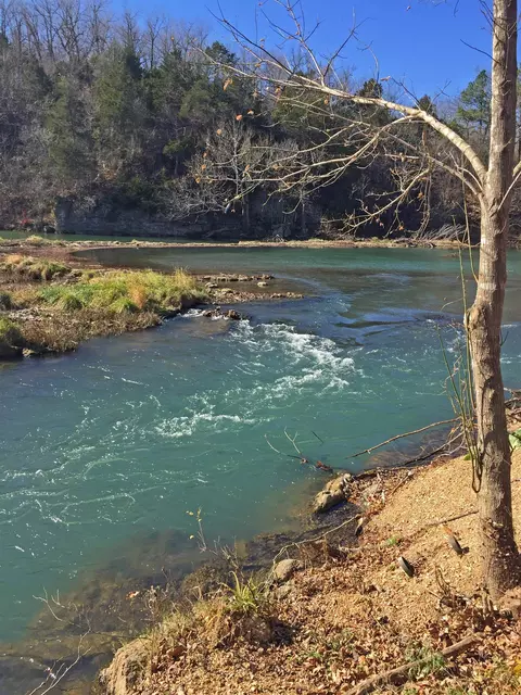 tbd Saddler Falls Rd, Mammoth Spring, AR 72554 photo 12