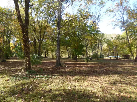 tbd Saddler Falls Rd, Mammoth Spring, AR 72554 photo 3