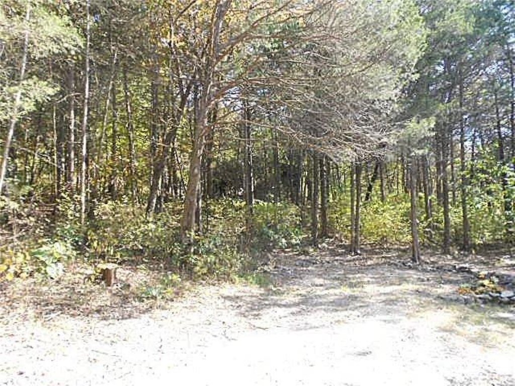 75 Postage Ln, Seligman, MO 65745 photo 5