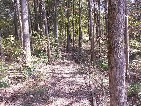 75 Postage Ln, Seligman, MO 65745 photo 24