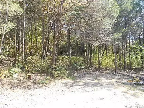 75 Postage Ln, Seligman, MO 65745 photo 5