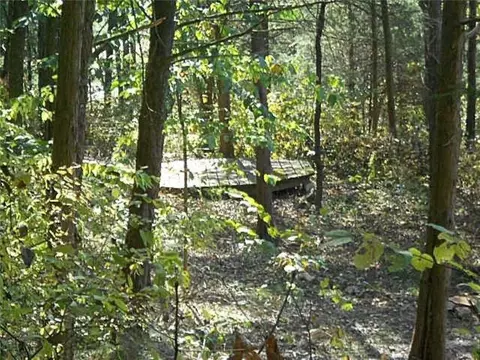 75 Postage Ln, Seligman, MO 65745 photo 25
