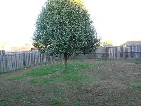 810 Walker St, Centerton, AR 72719 photo 29