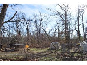 14381 E Skyview Rd, West Fork, AR 72774 photo 29
