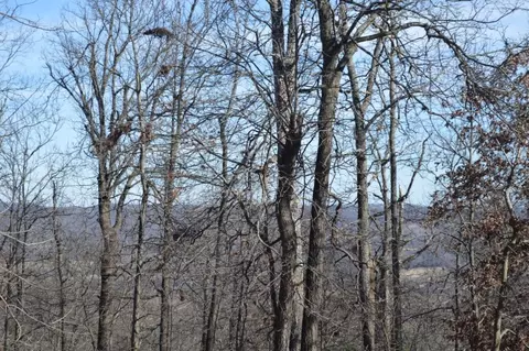 14381 E Skyview Rd, West Fork, AR 72774 photo 2
