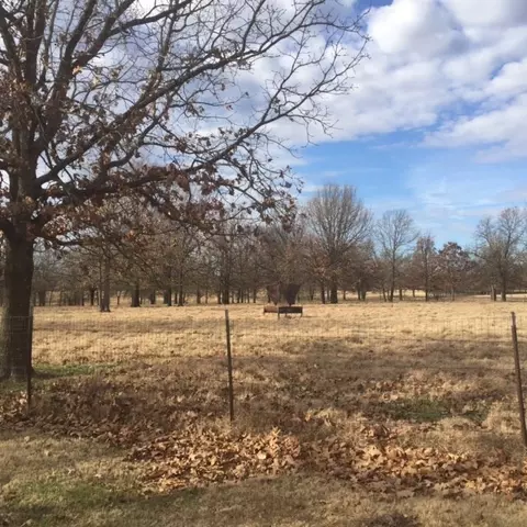 3919 E 566 Rd, Rose, OK 74364 photo 17