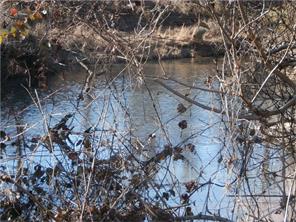 9888 Hwy 16, Combs, AR 72721 photo 16
