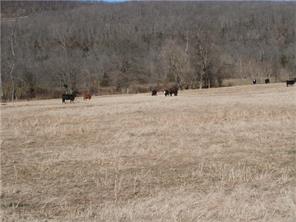 9888 Hwy 16, Combs, AR 72721 photo 12