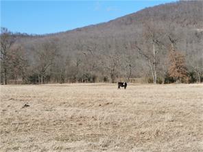 9888 Hwy 16, Combs, AR 72721 photo 10
