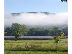 9888 Hwy 16, Combs, AR 72721 photo 4