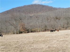 9888 Hwy 16, Combs, AR 72721 photo 11