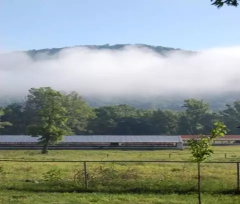 9888 Hwy 16, Combs, AR 72721 photo 4