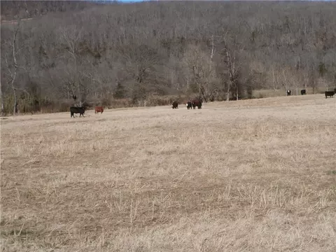 9888 Hwy 16, Combs, AR 72721 photo 12