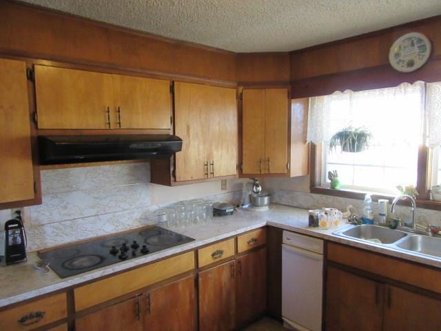 12405 Slaughter Rd, Summers, AR 72769 photo 4
