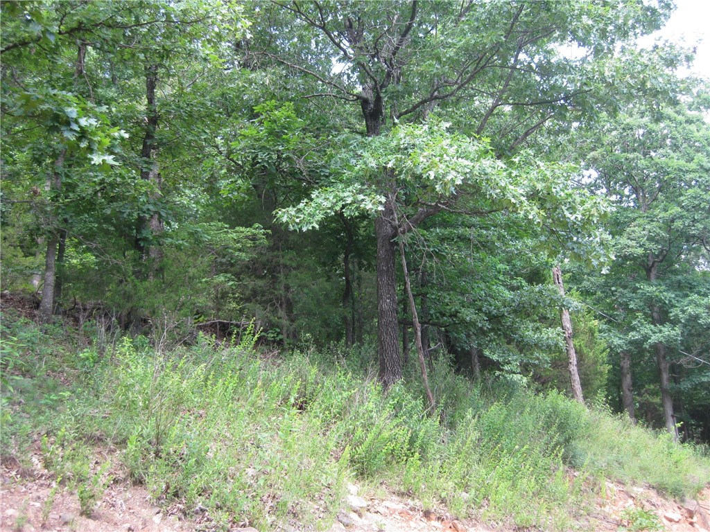 14158 Low Gap Rd, West Fork, AR 72774 photo 19