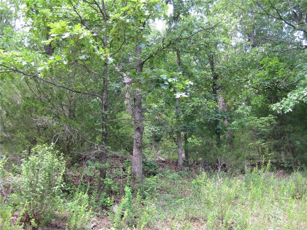 14158 Low Gap Rd, West Fork, AR 72774 photo 20