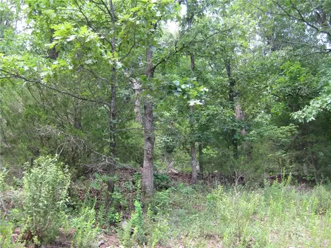 14158 Low Gap Rd, West Fork, AR 72774 photo 20