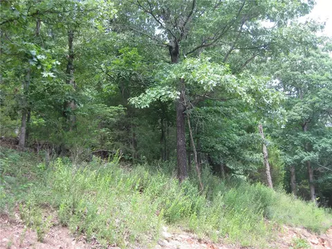 14158 Low Gap Rd, West Fork, AR 72774 photo 19