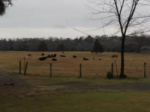 6909 Ridge Rd, Alma, AR 72921 photo 4