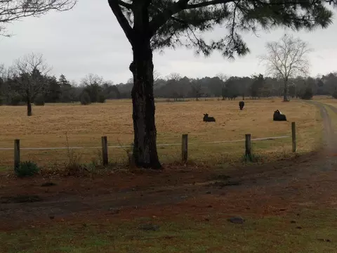 6909 Ridge Rd, Alma, AR 72921 photo 3
