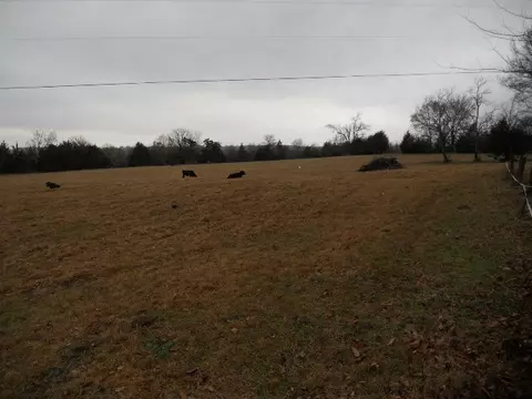 6909 Ridge Rd, Alma, AR 72921 photo 5