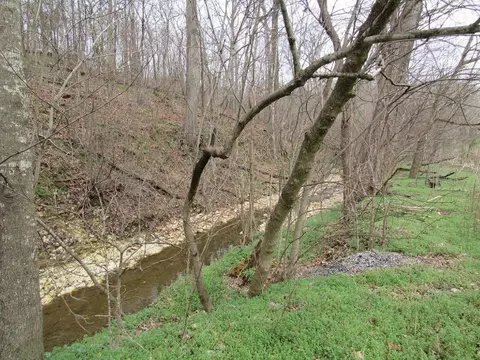 22953 Davis Valley Rd, Gentry, AR 72734 photo 20
