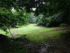 14408 Lott Rd, Springdale, AR 72762 photo 18