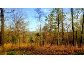  7878 Angell Rd, Rogers, AR 72756 photo 29