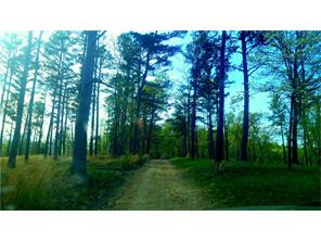  7878 Angell Rd, Rogers, AR 72756 photo 28