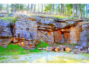  7878 Angell Rd, Rogers, AR 72756 photo 27