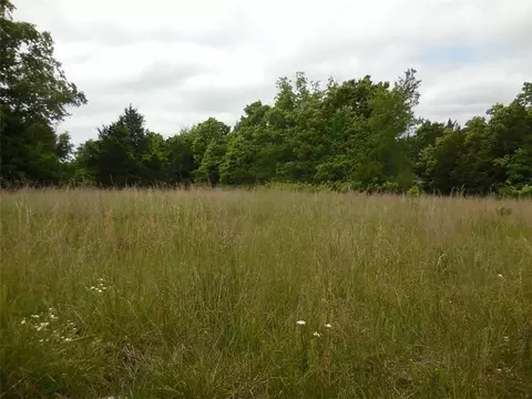 16185 Low Gap Rd, West Fork, AR 72774 photo 3