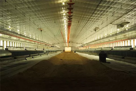 Undisclosed, Eucha, OK 74342 photo 26