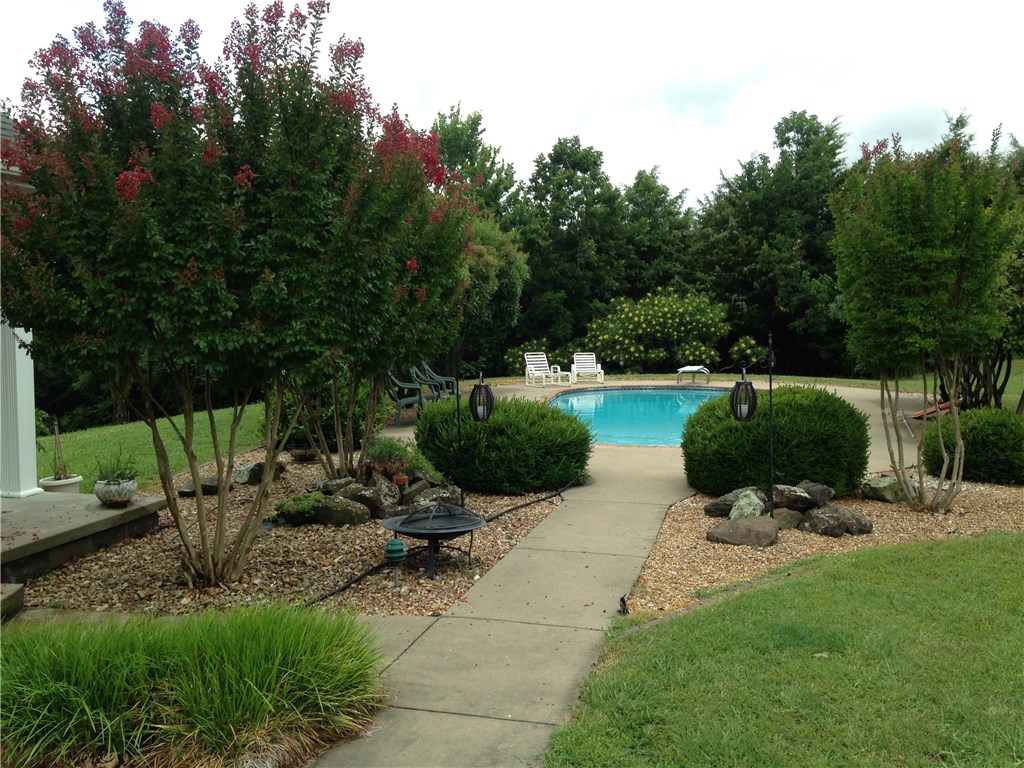  3396 Highway 62 E, Green Forest, AR 72638 photo 6