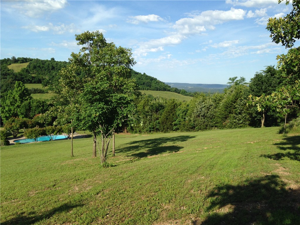  3396 Highway 62 E, Green Forest, AR 72638 photo 27