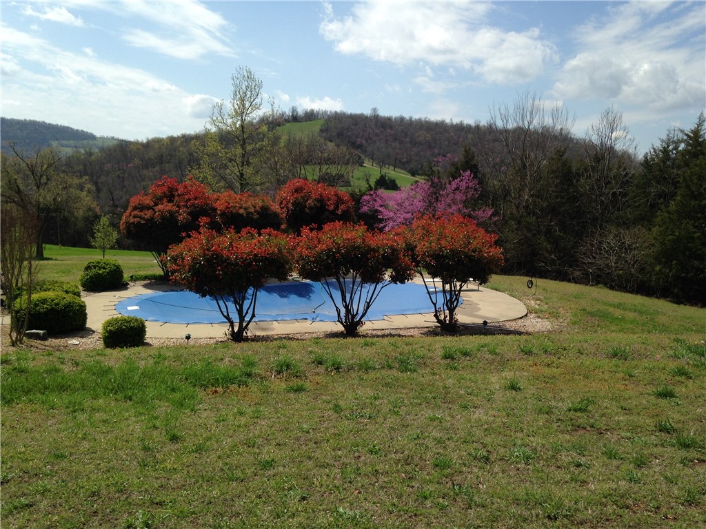  3396 Highway 62 E, Green Forest, AR 72638 photo 7