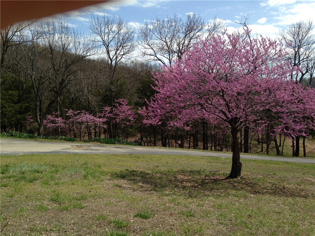  3396 Highway 62 E, Green Forest, AR 72638 photo 9