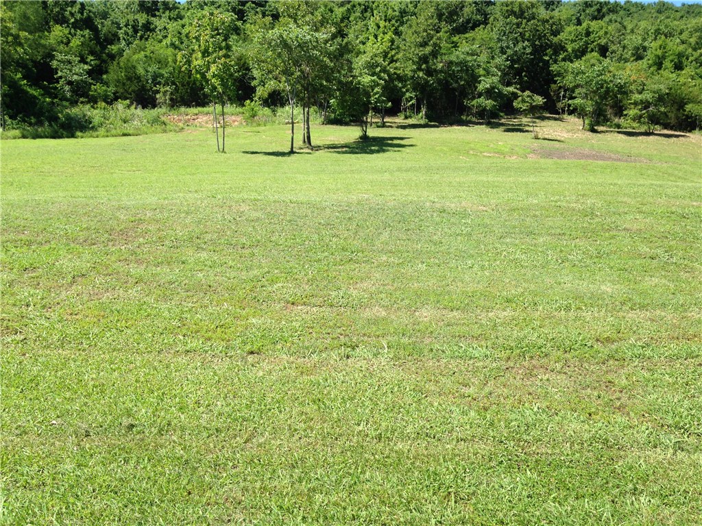  3396 Highway 62 E, Green Forest, AR 72638 photo 26