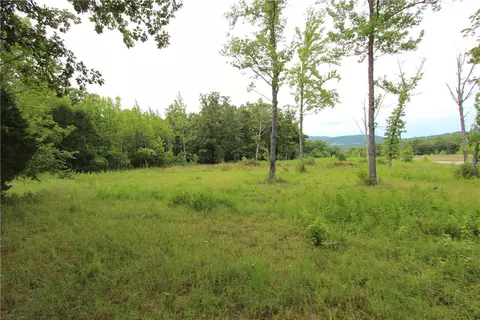 1230 Front Ave, Chester, AR 72934 photo 16