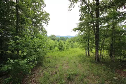 1230 Front Ave, Chester, AR 72934 photo 9