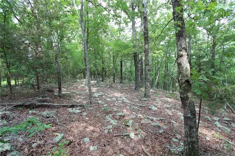 1230 Front Ave, Chester, AR 72934 photo 12