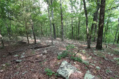 1230 Front Ave, Chester, AR 72934 photo 11