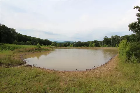 1230 Front Ave, Chester, AR 72934 photo 15