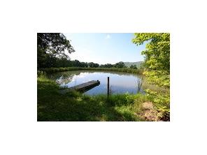 1650 Madison 4425, Combs, AR 72721 photo 20