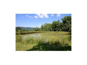1650 Madison 4425, Combs, AR 72721 photo 22