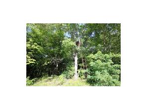 1650 Madison 4425, Combs, AR 72721 photo 24