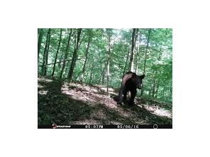 1650 Madison 4425, Combs, AR 72721 photo 29
