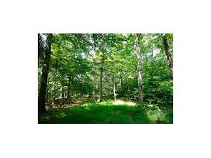 1650 Madison 4425, Combs, AR 72721 photo 23