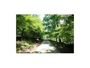 1650 Madison 4425, Combs, AR 72721 photo 26