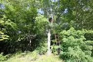 1650 Madison 4425, Combs, AR 72721 photo 24